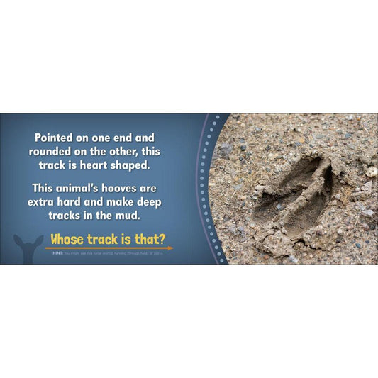 AdventureKEEN Whose Track Is That?-Books - Books-AdventureKEEN-Appalachian Outfitters