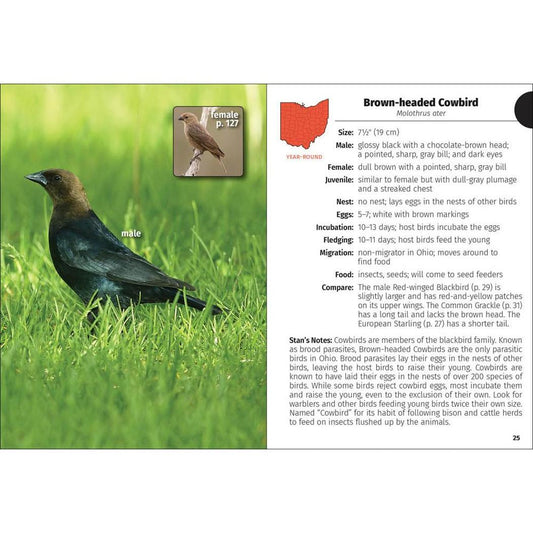 Birds of Ohio Field Guide 3e-Books - Books-AdventureKEEN-Appalachian Outfitters