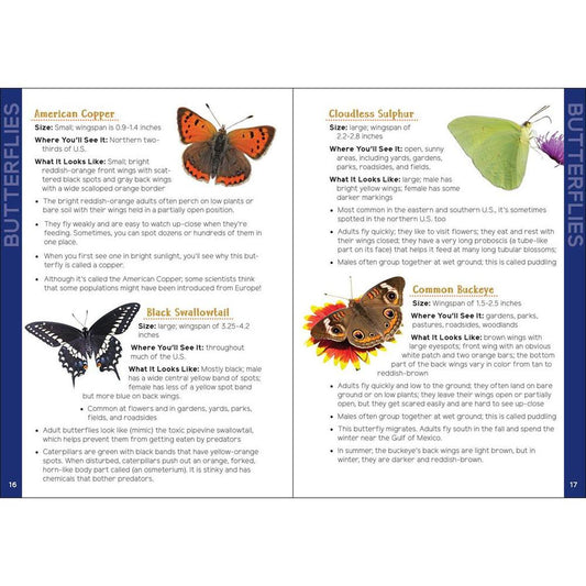 Insects & Bugs for Kids-Books - Books-AdventureKEEN-Appalachian Outfitters