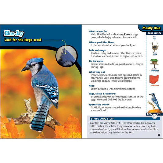 Kids' Guide to Birds of Ohio-Books - Books-AdventureKEEN-Appalachian Outfitters