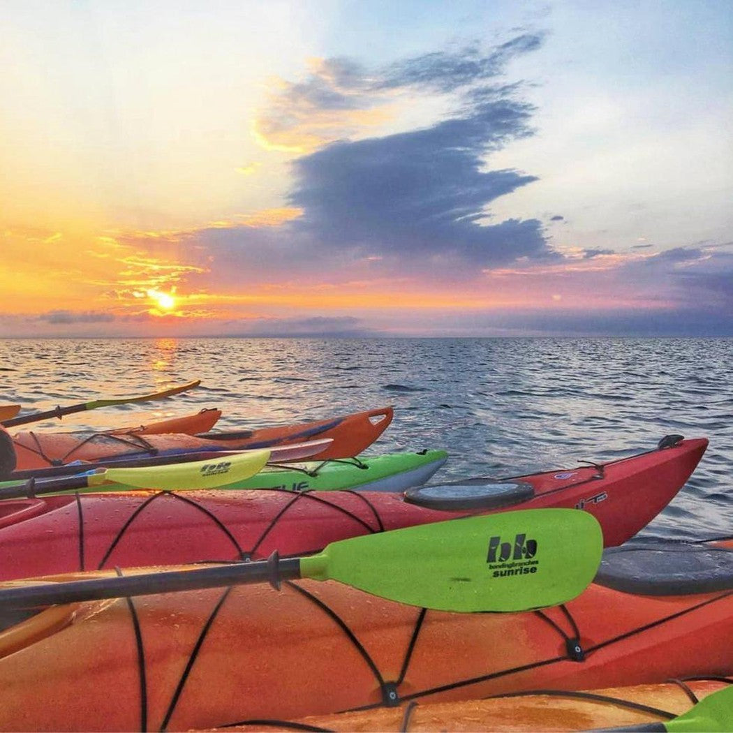 Bending Branches-Sunrise Glass-Appalachian Outfitters