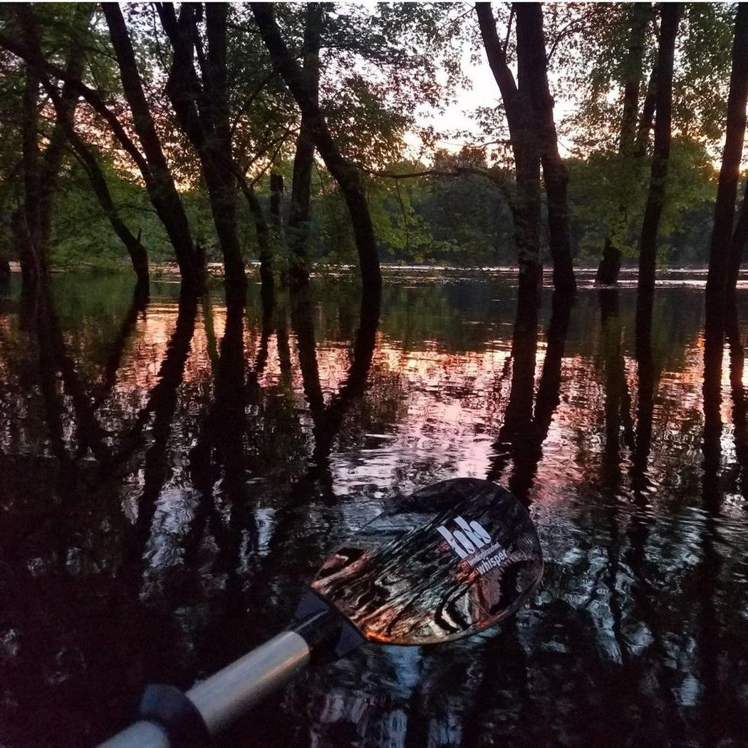 Bending Branches-Whisper AS-Appalachian Outfitters