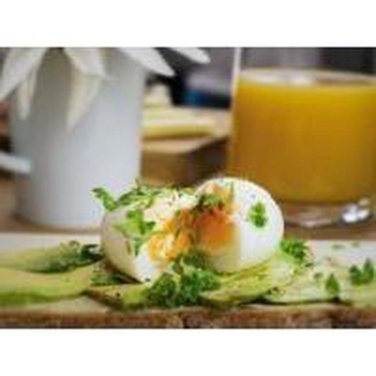 Brainstream USA-BeepEgg - Camping-Appalachian Outfitters