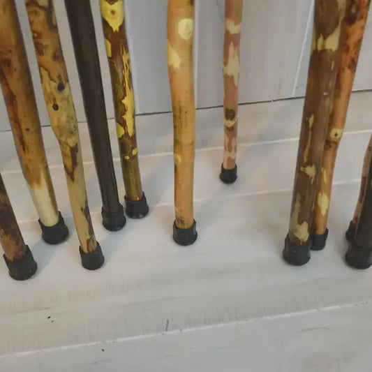 Creation Carvings Walking Stick-Camping - Trekking Poles - Walking Sticks-Creation Carvings-Appalachian Outfitters