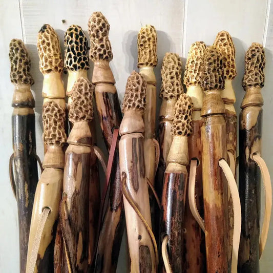 Creation Carvings Walking Stick with Morel Mushroom Carving-Camping - Trekking Poles - Walking Sticks-Creation Carvings-Appalachian Outfitters