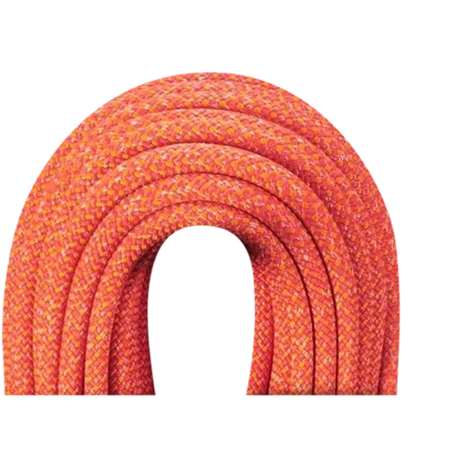 Heron Eco Dry 9.8mm-Climbing - Ropes - Dynamic-Edelrid-Appalachian Outfitters