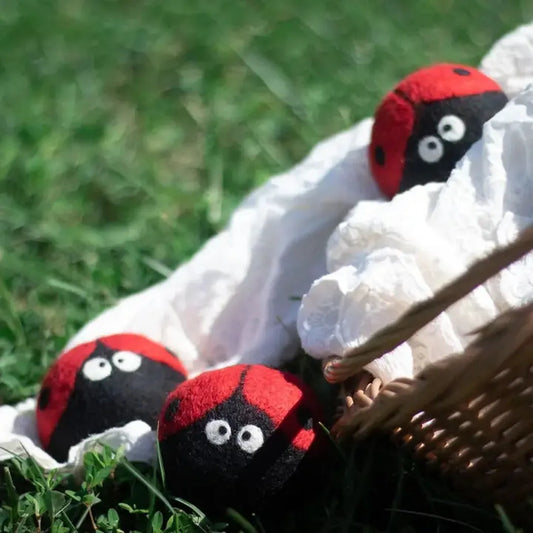 Friendsheep Ladybug Trio Eco Wool Dryer Balls-Accessories - Novelty-Friendsheep-Appalachian Outfitters