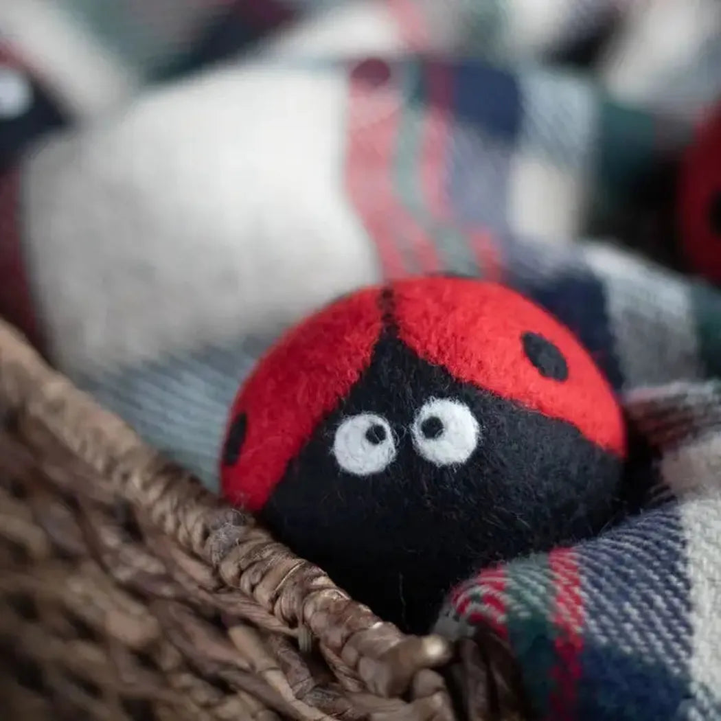 Friendsheep Ladybug Trio Eco Wool Dryer Balls-Accessories - Novelty-Friendsheep-Appalachian Outfitters