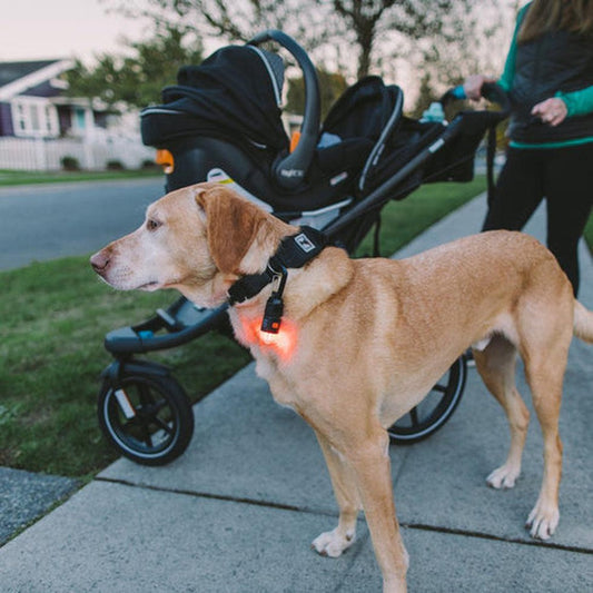 Carabiner Light Kit-Camping - Tents & Shelters - Tent Accessories-Gear Aid-Appalachian Outfitters