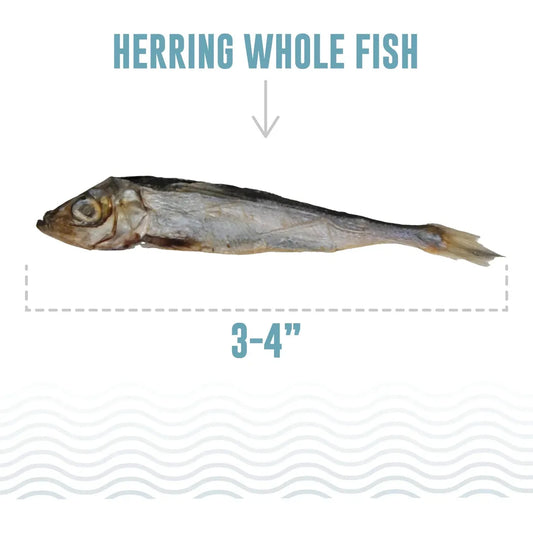 Icelandic+ Herring Whole Fish Dog Treats | 3-oz Bag-Pets - Treats-Icelandic+-Appalachian Outfitters