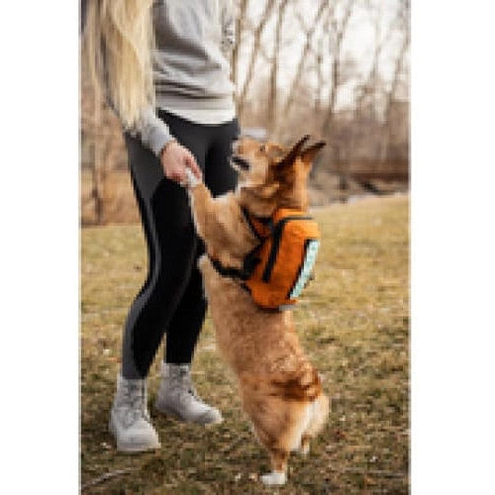 K9 Sport Sack Walk-on with Harness & Storage Outdoor Dogs