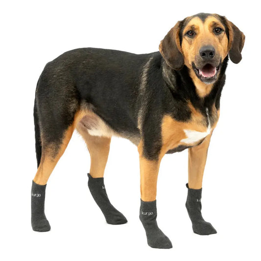 Kurgo Blaze Dog Socks-Pets - Apparel-Kurgo-Appalachian Outfitters