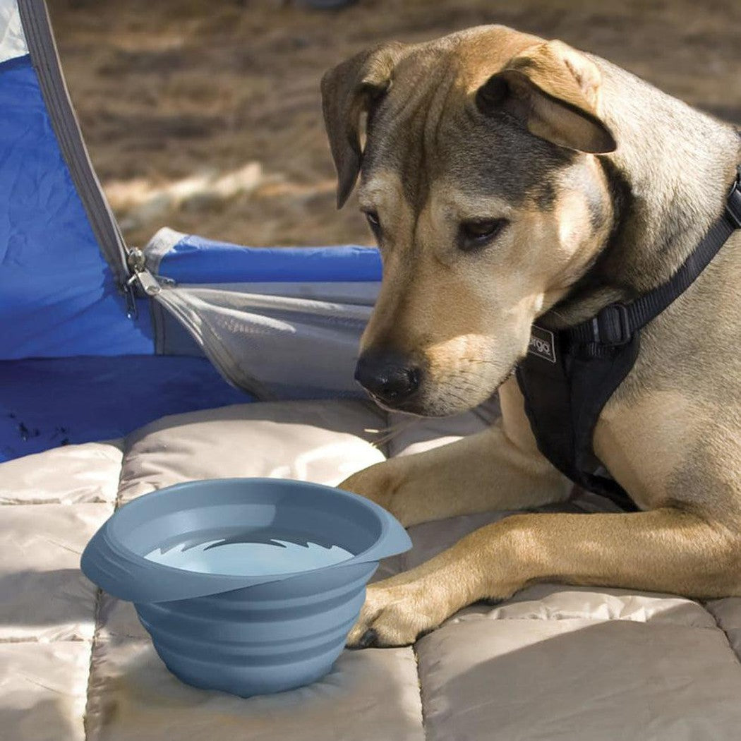 Kurgo Collapse a Bowl Outdoor Dogs