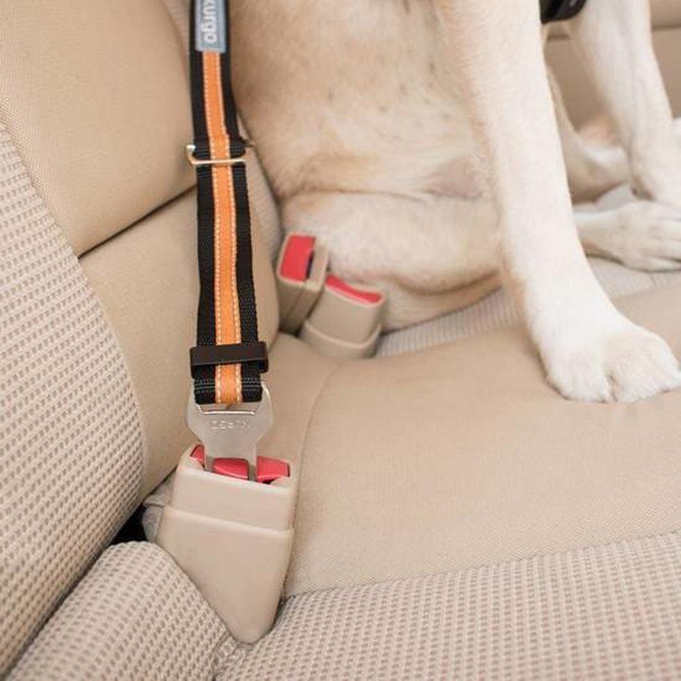 Kurgo Direct to Seatbelt Tether Outdoor Dogs