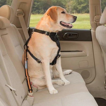 Kurgo Direct to Seatbelt Tether Outdoor Dogs