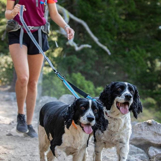 Kurgo Double Dog Leash Extender Outdoor Dogs