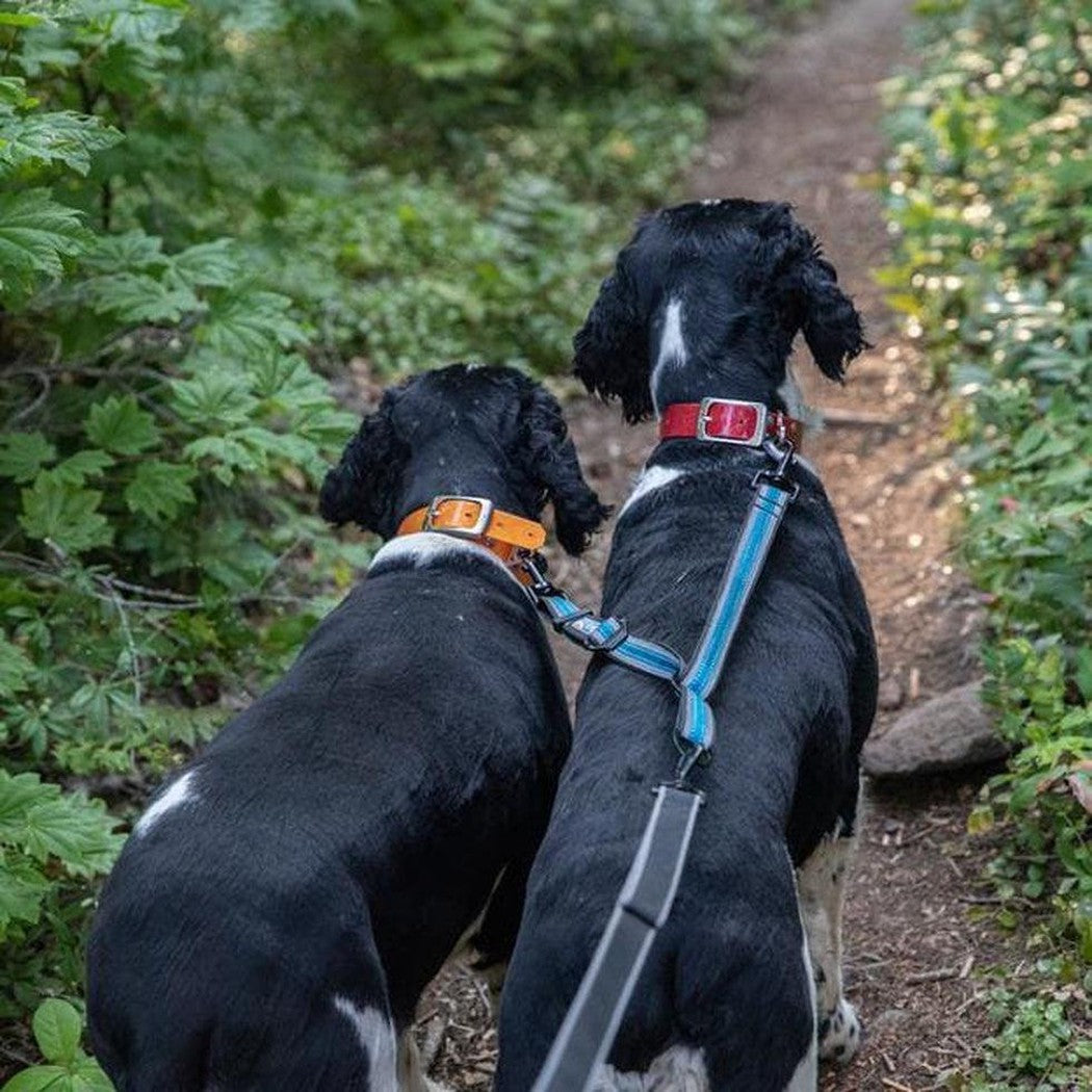 Kurgo Double Dog Leash Extender Outdoor Dogs