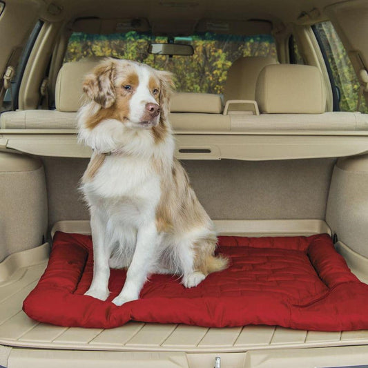 Kurgo Loft Wander Bed Outdoor Dogs