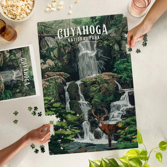 Lantern Press 1000 PIECE PUZZLE Cuyahoga Valley National Park Deer Falls-Accessories - Games-Lantern Press-Appalachian Outfitters
