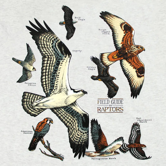 Liberty Graphics Field Guide To Raptors Short Sleeve T-Unisex - Clothing - Tops-Liberty Graphics-Appalachian Outfitters