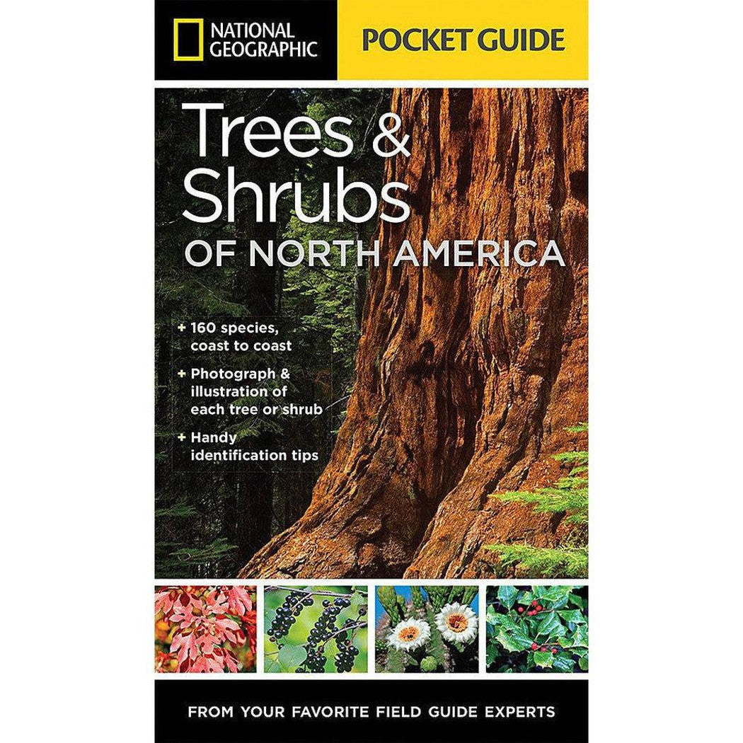 National Geographic Pocket Guide Trees & Shrubs of N.A.-Books - Books-National Geographic-Appalachian Outfitters