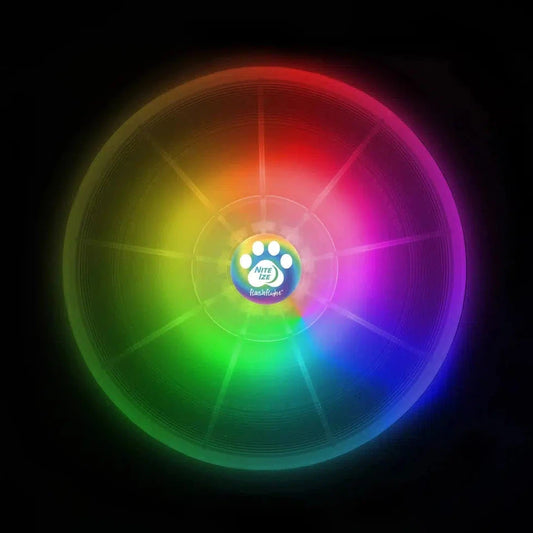 Flashflight Dog Discuit LED Flying Disc - Disc-O-Pets - Safety - Lights-Nite Ize-Appalachian Outfitters