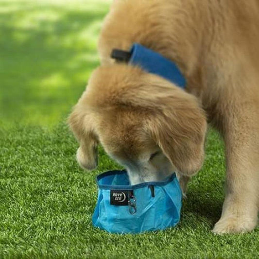 Nite Ize Raddog Collapsible Bowl Outdoor Dogs
