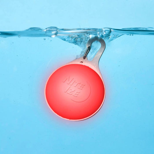 Nite Ize SpotLit Splash Waterproof Rechargeable Collar Light - Disc-O Select-Pets - Safety - Lights-Nite Ize-Appalachian Outfitters