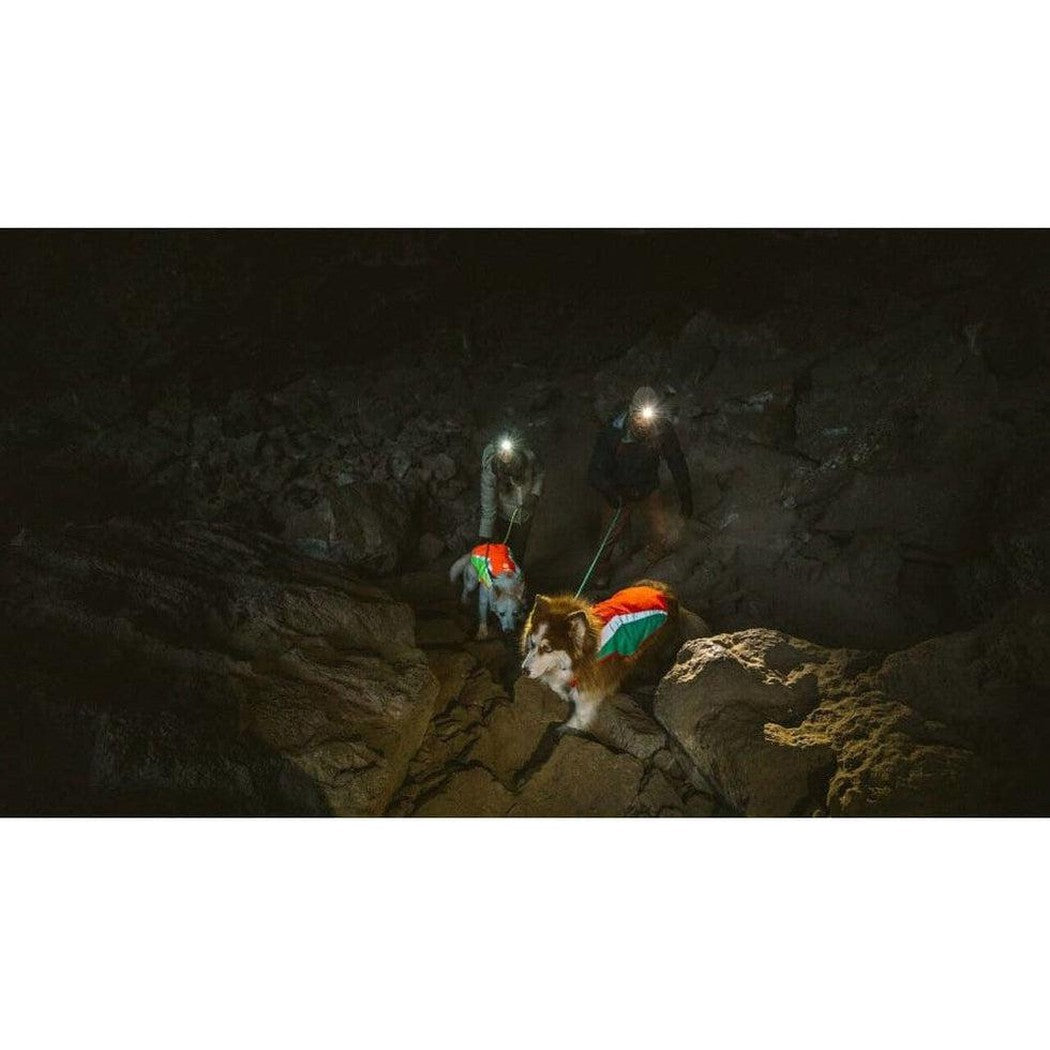 Ruffwear Lumenglow High-vis Jacket Outdoor Dogs