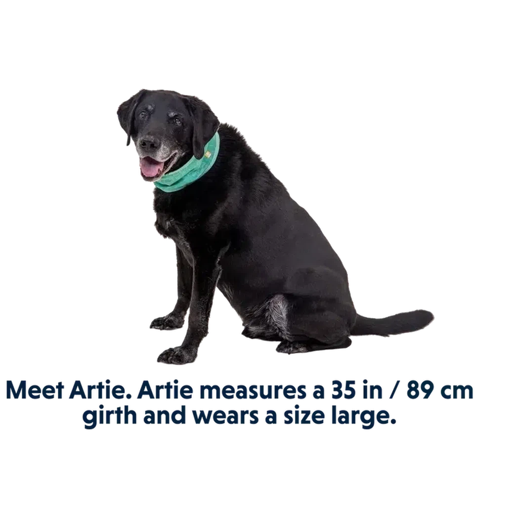 Ruffwear Swamp Cooler Neck Gaiter-Pets - Collars-Ruffwear-Appalachian Outfitters