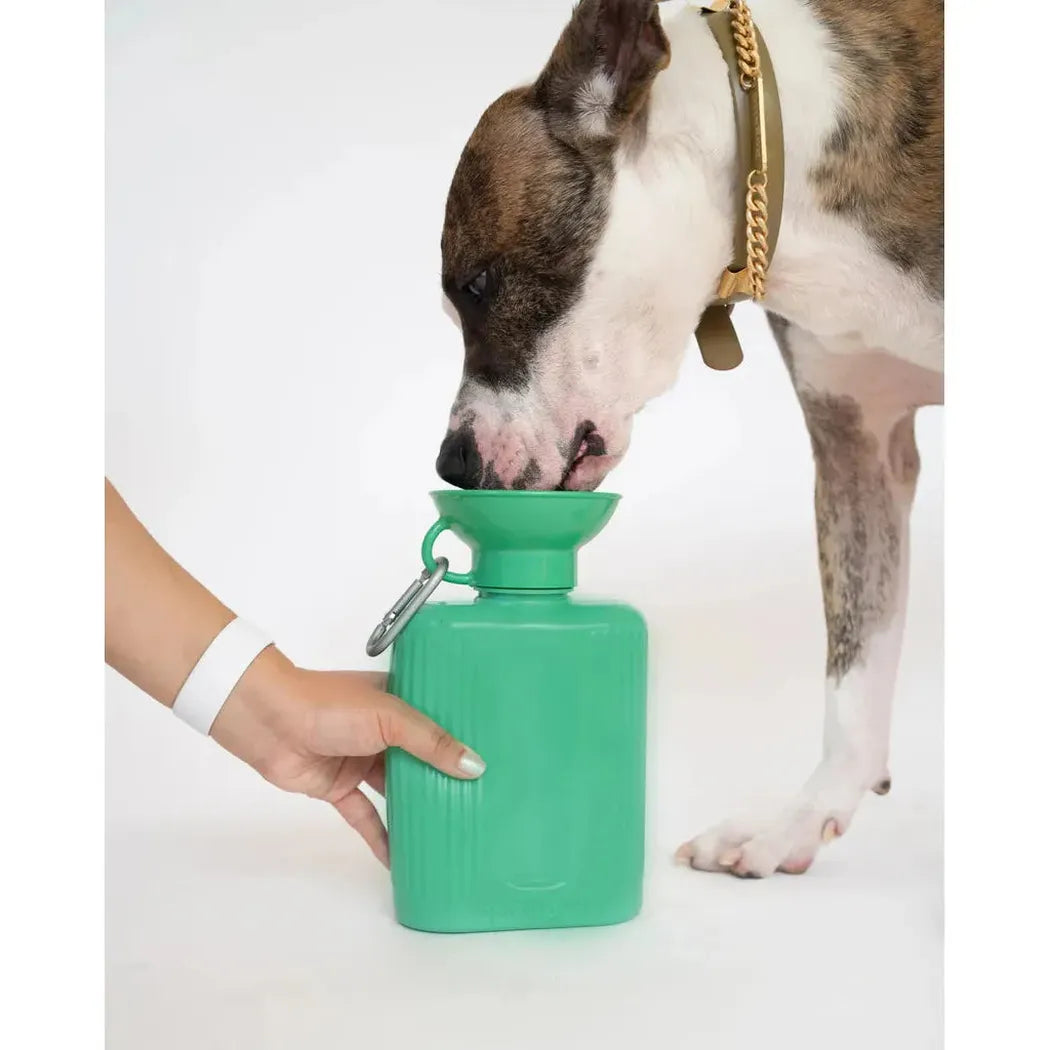Springer Growler Dog Travel-Pets - Bowls-Springer-Appalachian Outfitters