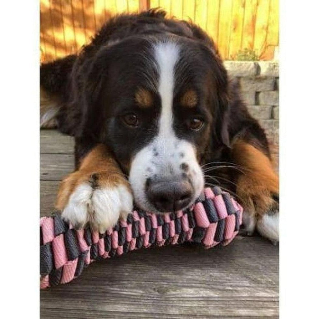 Tall Tails Bone Toy Pink / 9 Outdoor Dogs