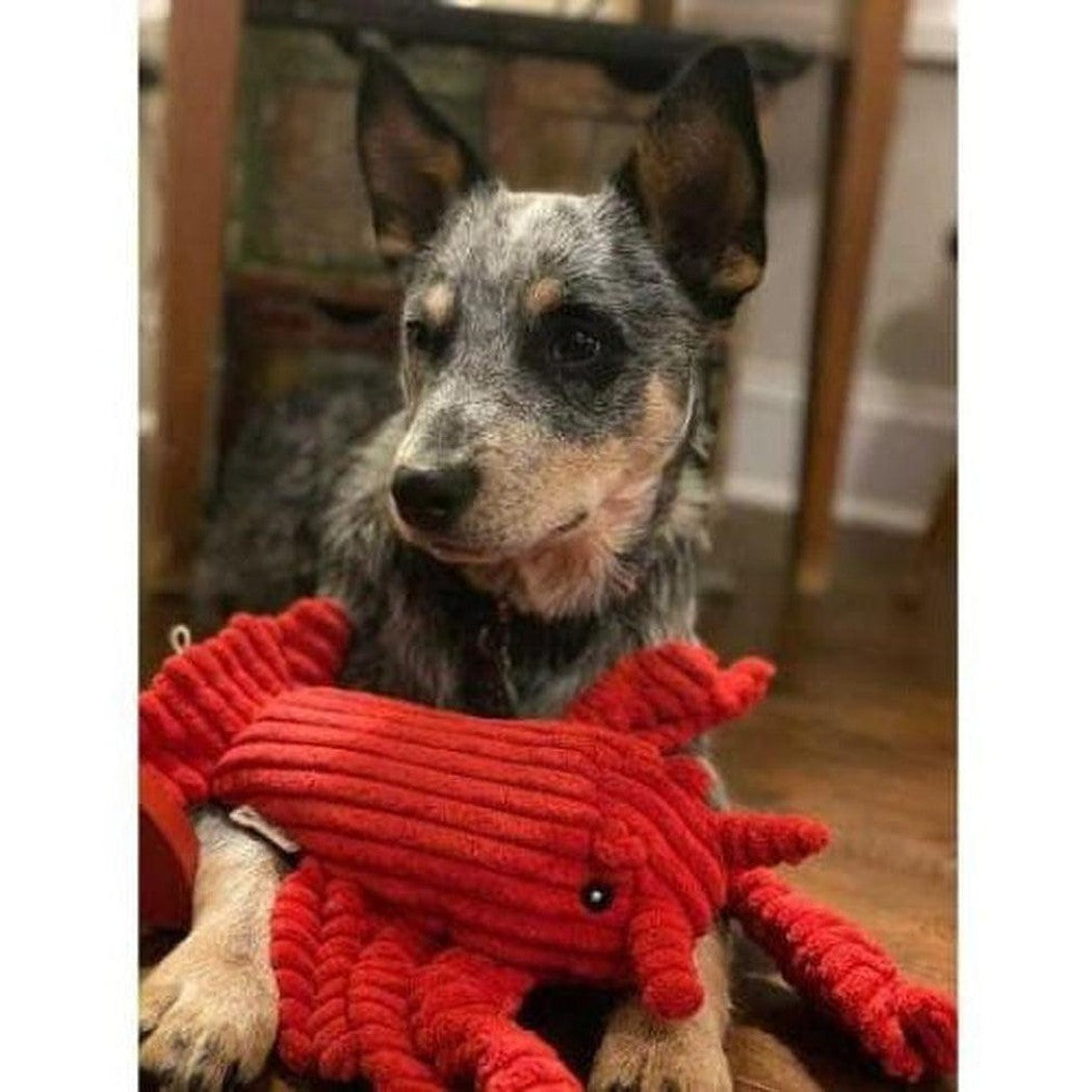 Tall Tails Crunch Lobster Toy Outdoor Dogs
