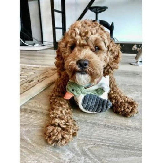 Tall Tails Duckling Toy 5 Outdoor Dogs