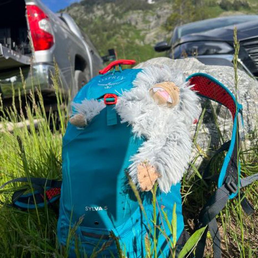 Tall Tails Mini Yeti with Squeaker-Pets - Toys-Tall Tails-Appalachian Outfitters