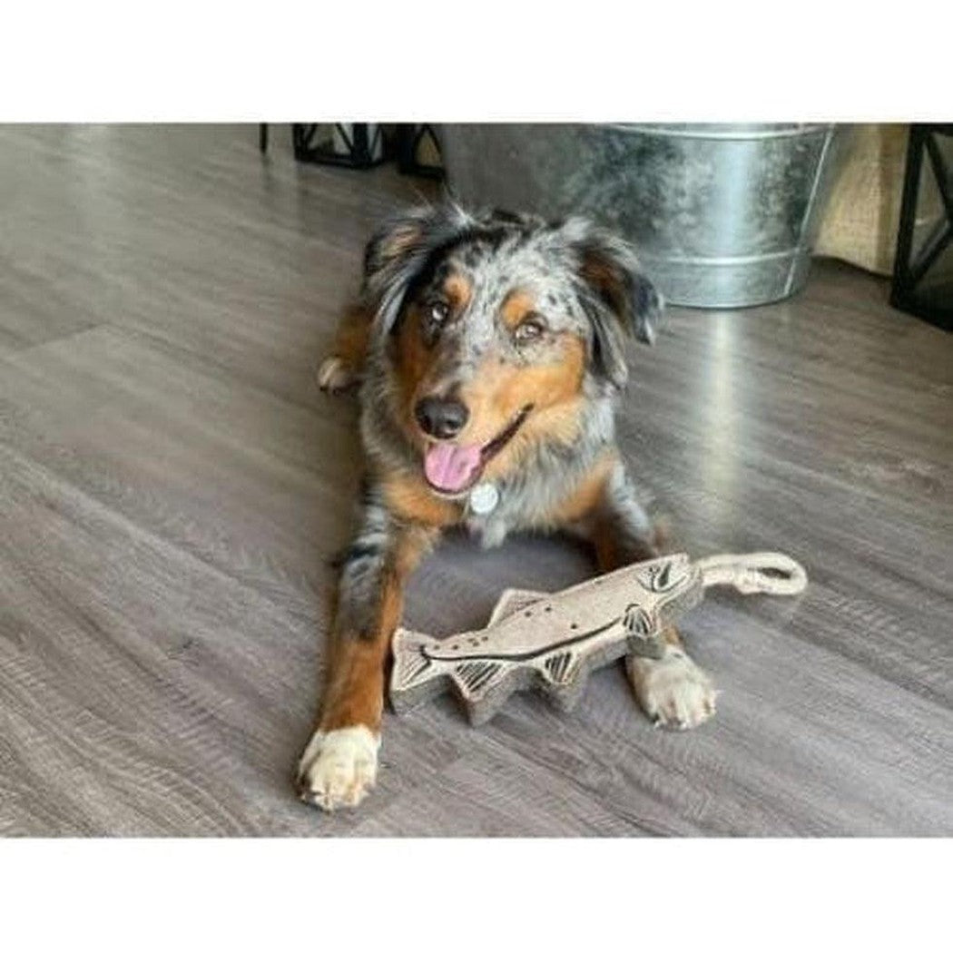 Tall Tails Natural Leather Trout Tug Toy Outdoor Dogs