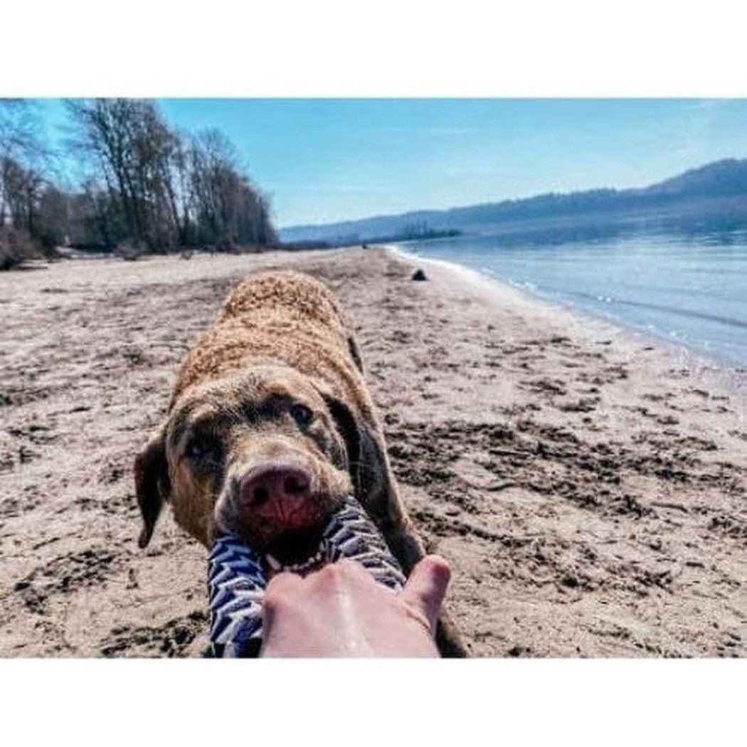 Tall Tails Navy Braider Ring Toy Outdoor Dogs