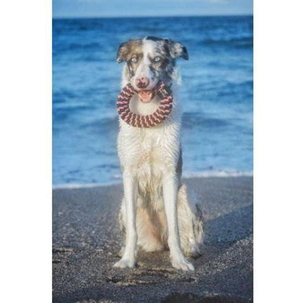 Tall Tails Pink Braided Ring Toy Outdoor Dogs