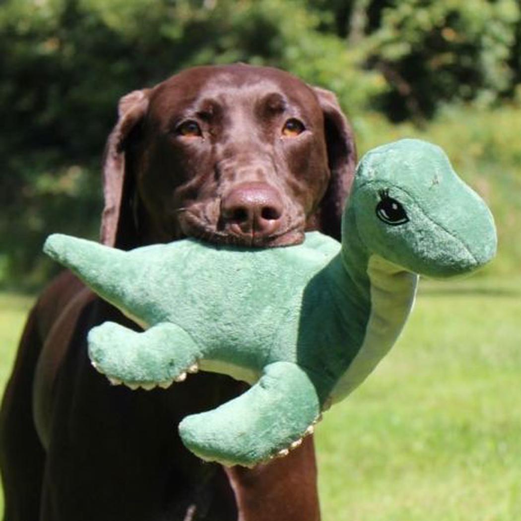 Tall Tails Plush Nessie SqueakCrinkle / Inner Rope Toy - 13'-Pets - Toys-Tall Tails-Appalachian Outfitters