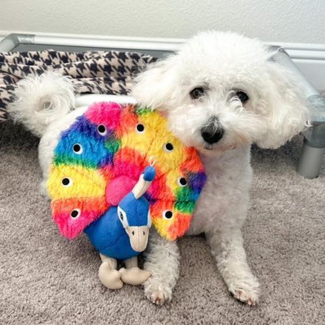 Tall Tails Plush Peacock Squeaker Toy - 9"-Pets - Toys-Tall Tails-Appalachian Outfitters