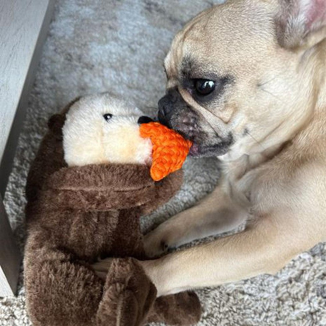 Tall Tails Rope Body Otter 13"-Pets - Toys-Tall Tails-Appalachian Outfitters