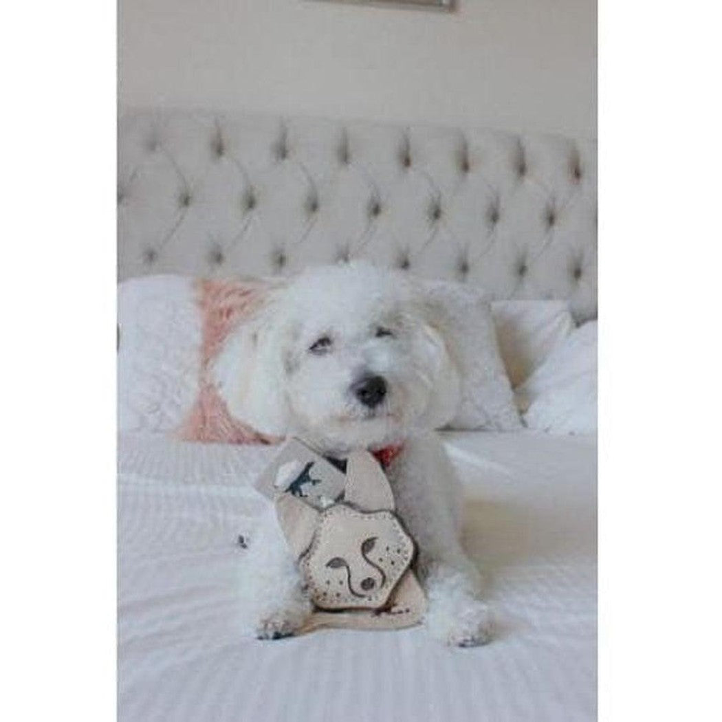 Tall Tails Scrappy Fox Toy Outdoor Dogs