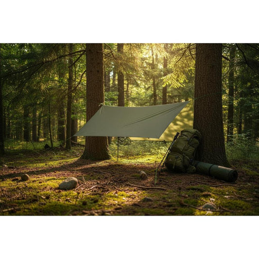 Set Up a Camping Tarp