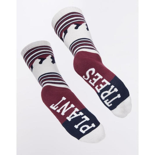 Tentree Products are Changing the World-Appalachian Outfitters