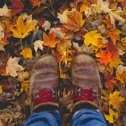 Discover the Magic of Autumn: 2023 Fall Hiking Series-Appalachian Outfitters