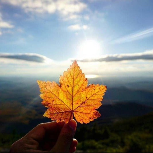 A Perfect Fall Road Trip-Appalachian Outfitters