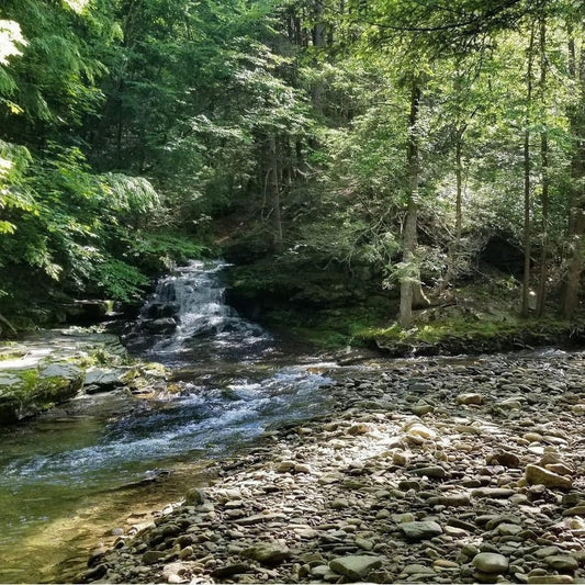 Backpacking the Old Loggers Path-Appalachian Outfitters