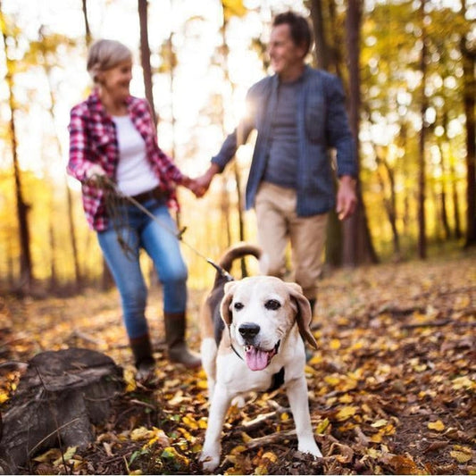 Explore the Best Fall Hiking Spots in Ohio-Appalachian Outfitters