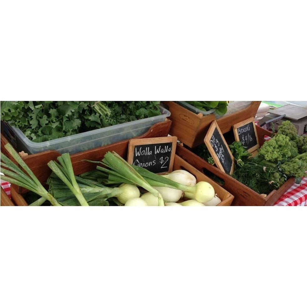 For a Healthy Summer Visit Farmer’s Market at Howe Meadow-Appalachian Outfitters