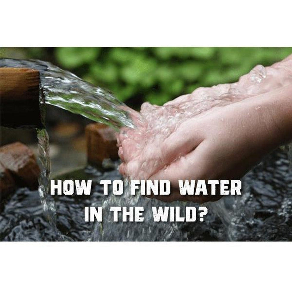 How to Find Water in the Wild?-Appalachian Outfitters